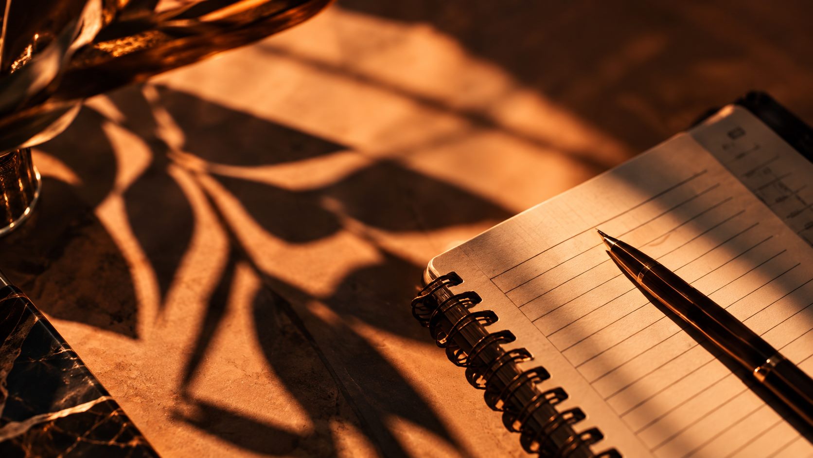Carnet à spirale et stylo sous des ombres de feuillage